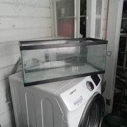 20 Gallon Tank