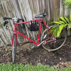 Schwinn World Sport Touring Road Bike