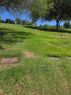 Rose Hills Cemetery Plot – Carnation Lawn – Section 17, Lot 2077, Space 4 , West Covina