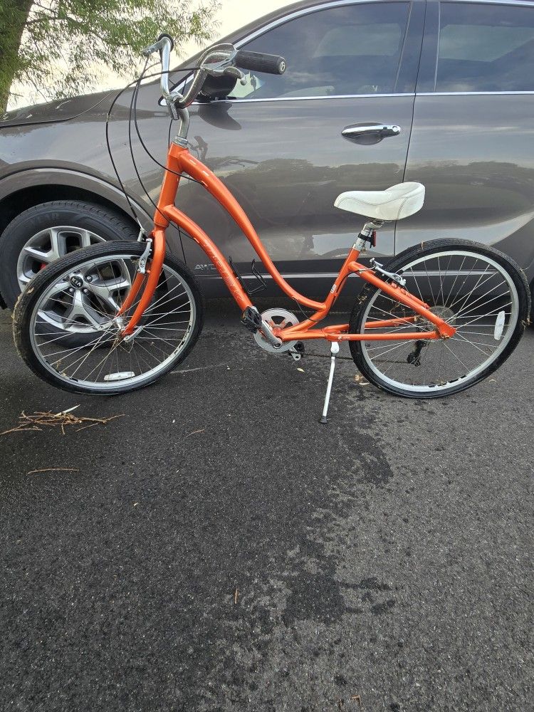 Trek Pure Lowstep
