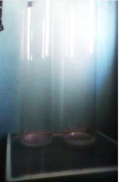 Tall clear glass vase set