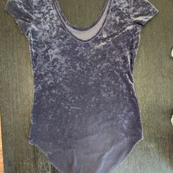 American Eagle Blue/gray Velvet Bodysuit, Short Sleeve, Size Small. 