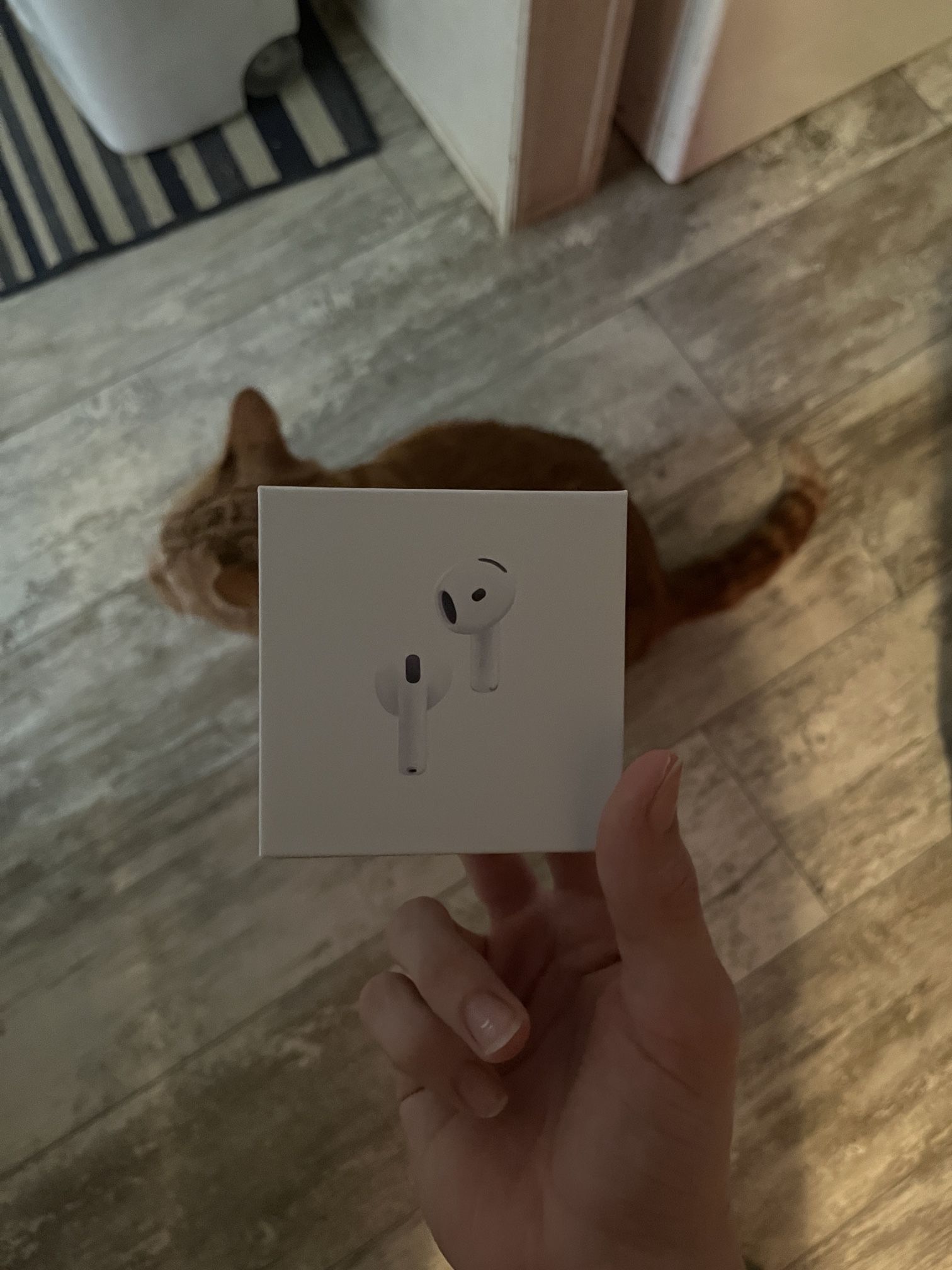 AirPods