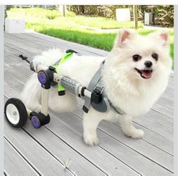 Adjustable Dog Wheelchair for Back Legs Mobility Support Lightweight Pet Wheelchair for Disabled Hind Legs Walking Stable Dog Cart for Pets