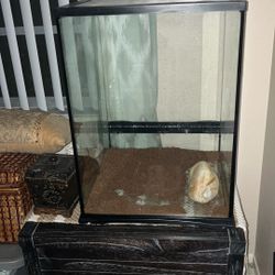 Reptile Cage