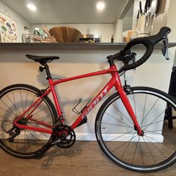 Giant Bike