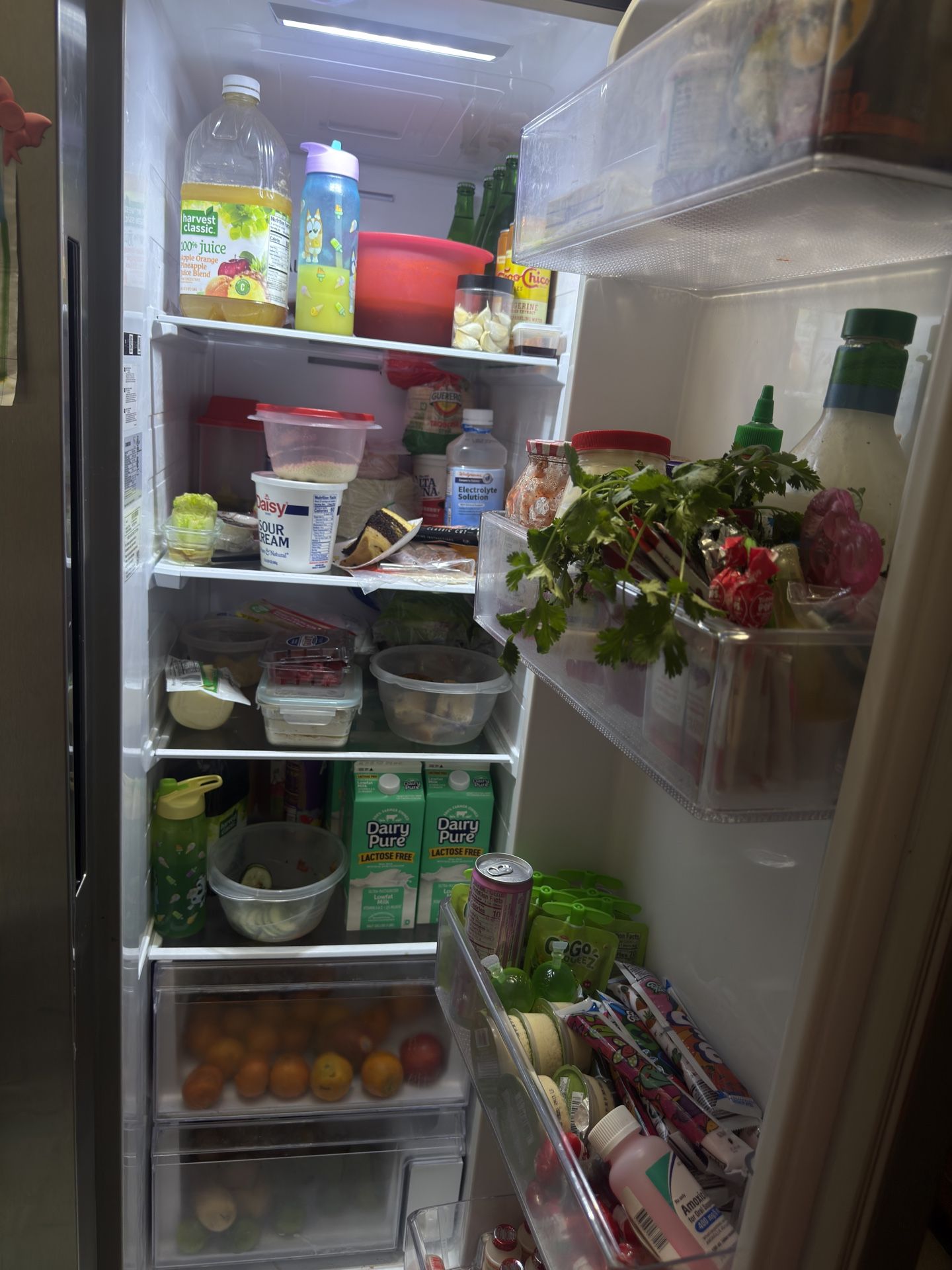 Samsung Fridge