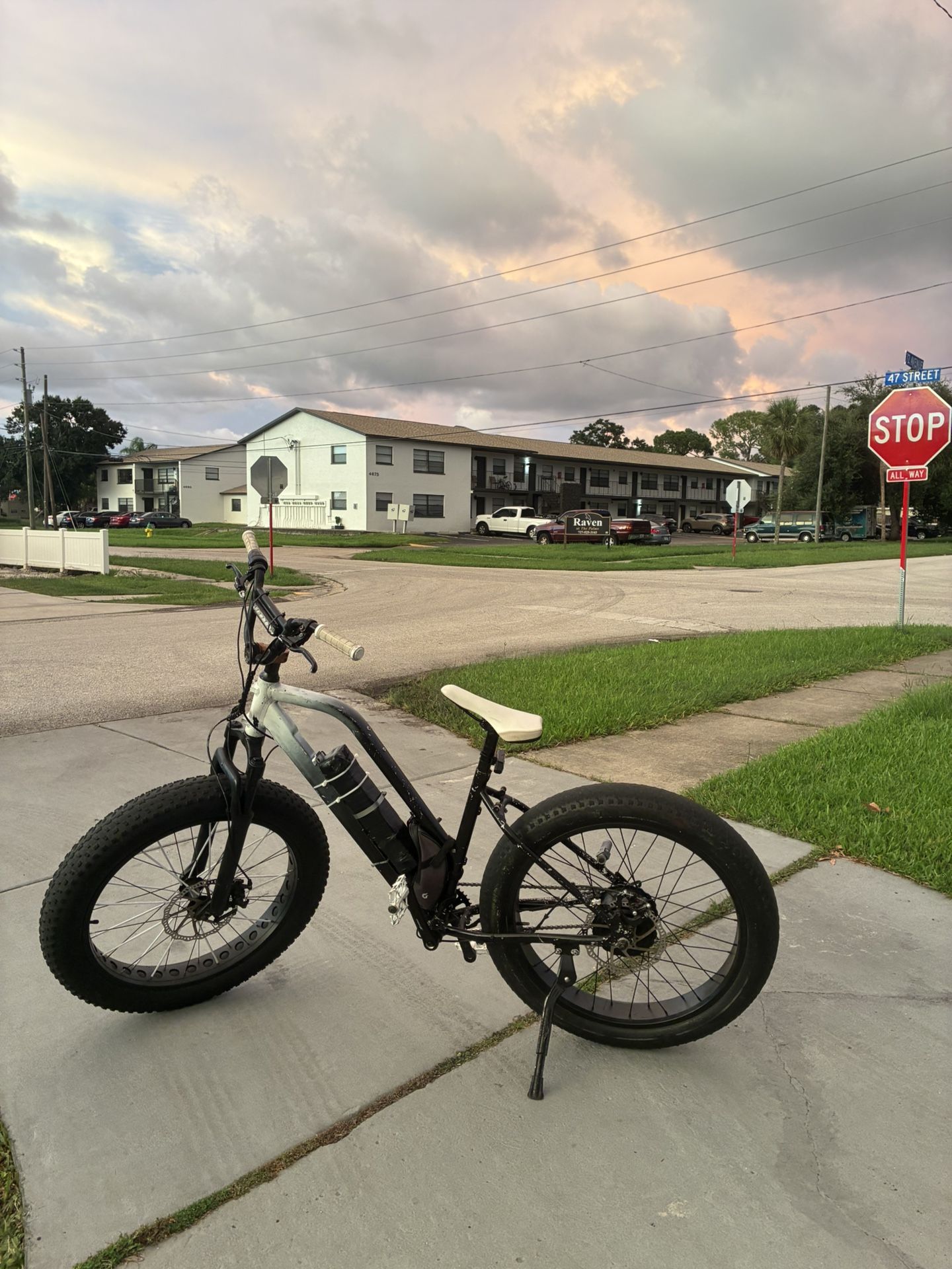 48v 13ah 30+ Mph With Charger Custom E-bike So You Can Put Any Battery Or Controller Module On It .