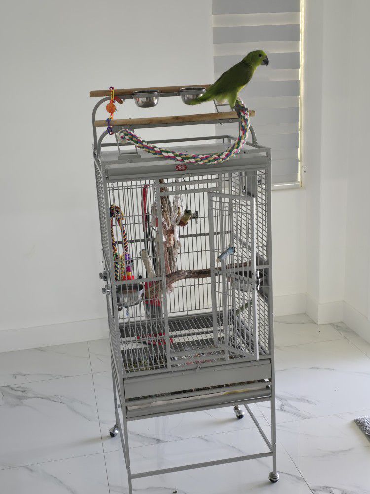 Parrot Bird Cage Jaula De Cotorra 