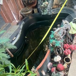 Fish Pond. Contenedor Para  Pescaditos Super. Grande   