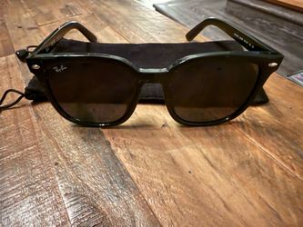 Ray-Ban Steve RB4487 Sunglasses