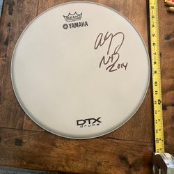 No Doubt Drummer Adrian Young Autographed Drum Head