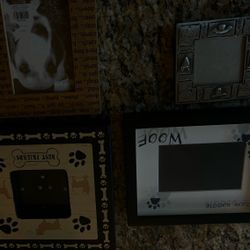 Dog Photo Frames  ( Price For All ) 