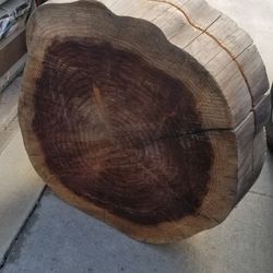 Tree Slice