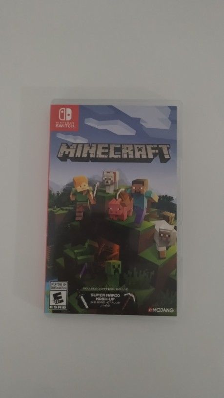 Nintendo Switch Minecraft SSD