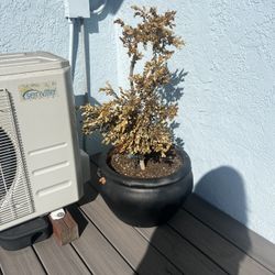 Large Flower Pot Planter