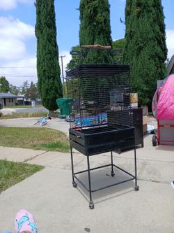 Bird cage