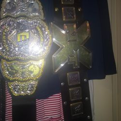 AEW WWE NXT CHAMPIONSHIP TITLE BELT! only 60 Each!