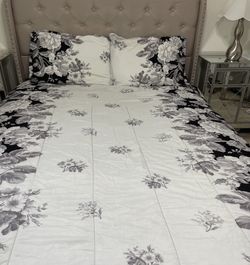 3 Piece Queen Comforter Set