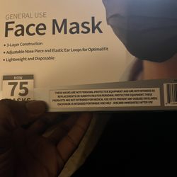 Face Mask