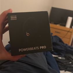 Beats Pro