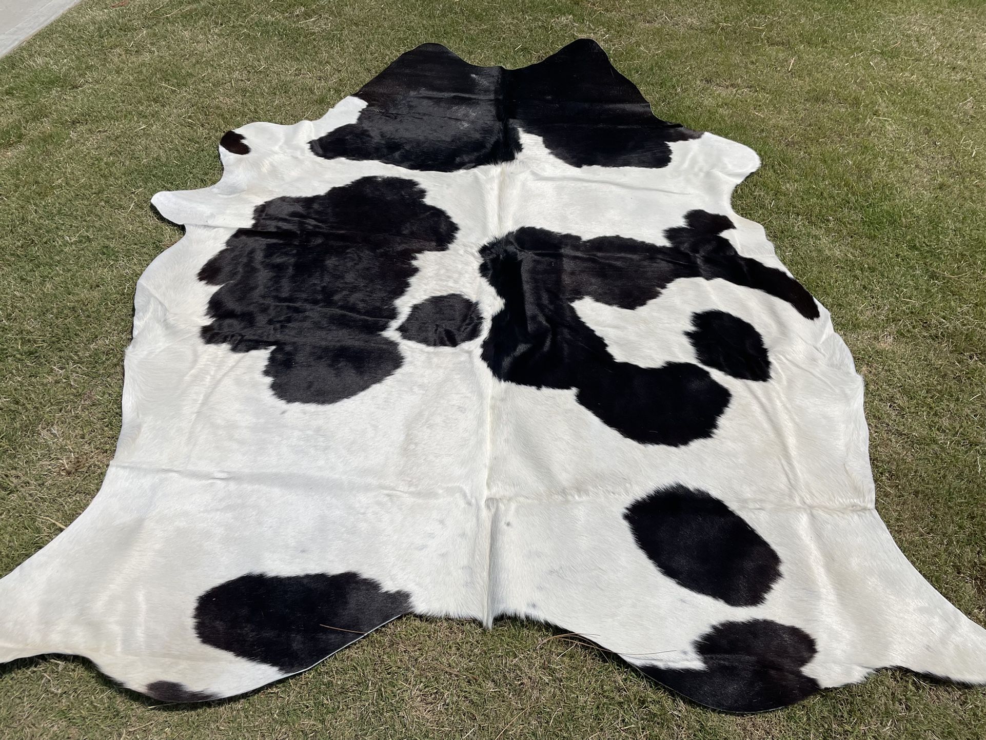 New Large Real Cowhide Area Rug 6.5 Ft X 6 Ft