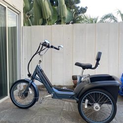 Pedego Electric Trike 