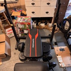Workout Bench