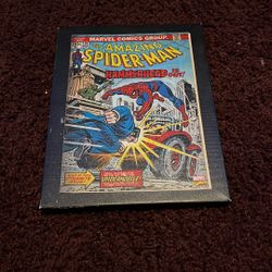 vintage Spider-Man Canvas