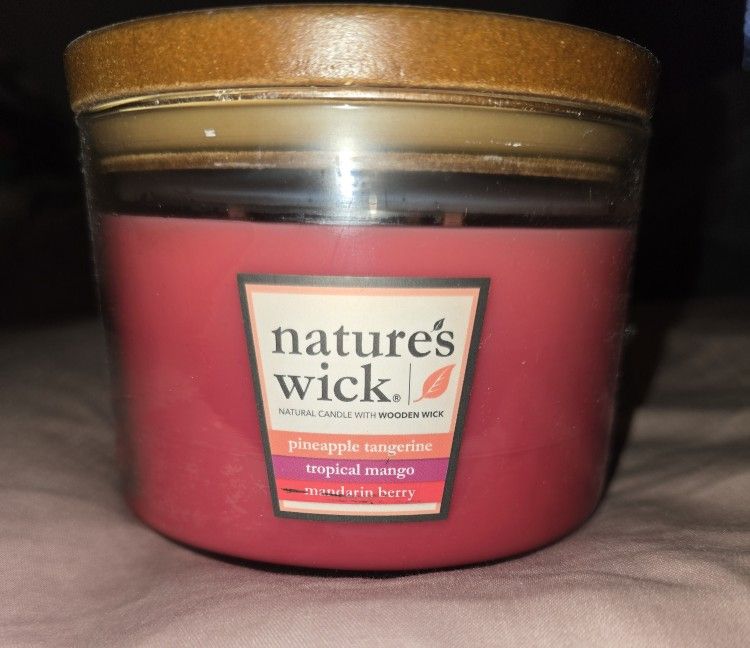 Natures wick candles NEW from Target $11each smoke free home Parma FIRM$$