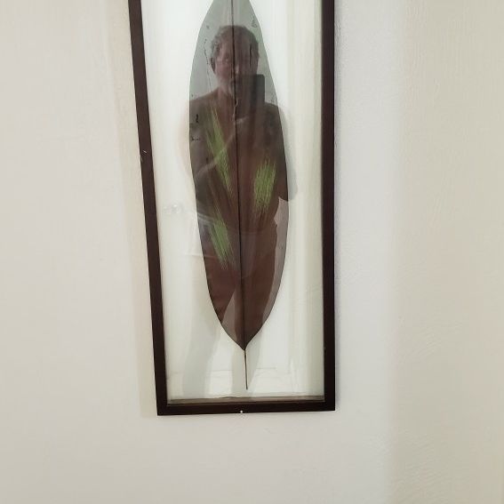 Deco Art Framed Leaf