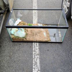 40 Gallon Tank