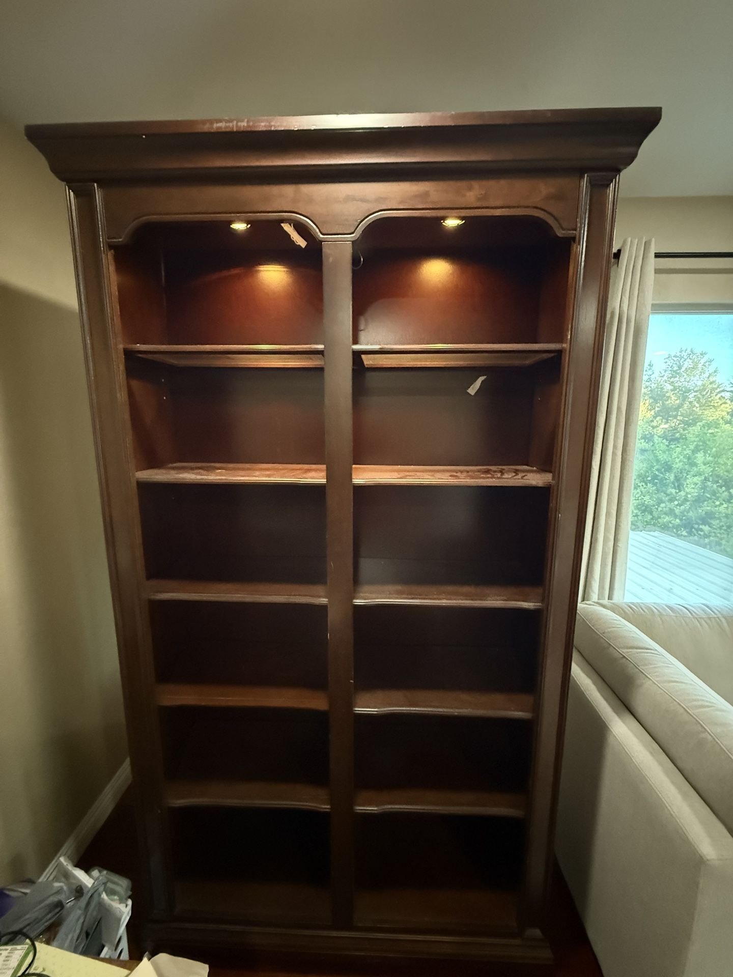 Light Up Bookshelf/Display Shelf