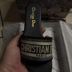 Dior Slides