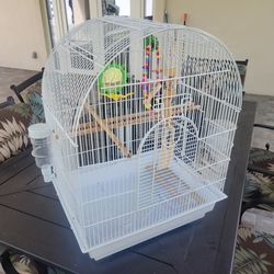 Round Roof Bird Cage Kit