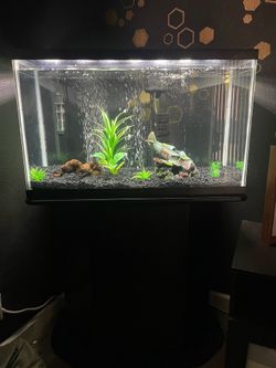 30 gallon fish tank with stand and accessories