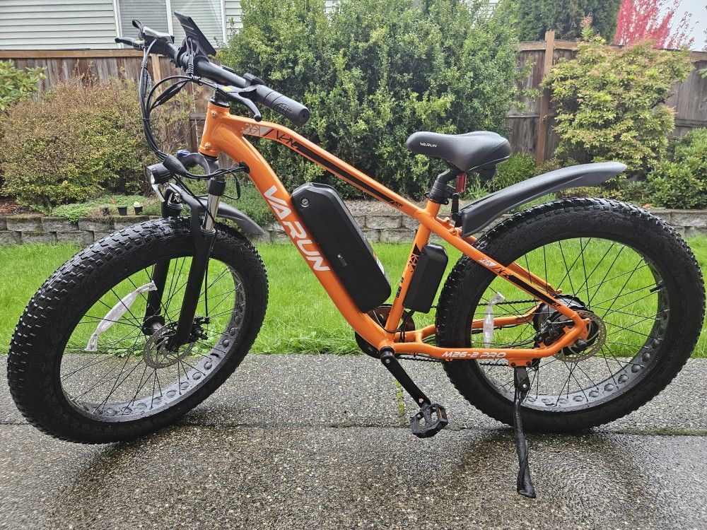 Varun Electric Mountain Bike, read description!
