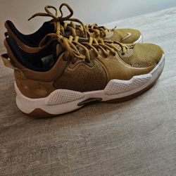 Men's Nike Paul George 5 Wheat/Gold/Black