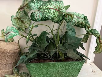 Caladium and Ivy Mixed Planter in nice metal pot