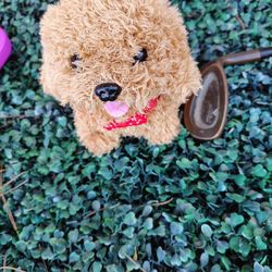 Misc Toys Never used Just Put In Toy Box