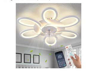 Ceiling Fans with Lights and Remote, 25 Inch Modern