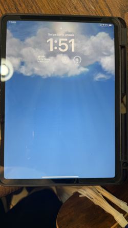 iPad Pro 11 Inch (4th Gen) 256gb WiFi And Cellular