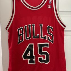 Vintage Champion Chicago Bulls Micheal Jordan Jersey Sz 44