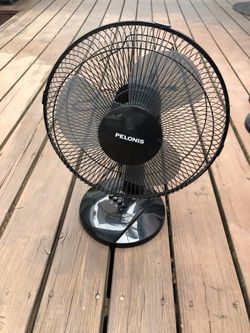 Fan