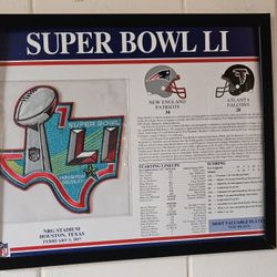 Super Bowl LI Framed picture.