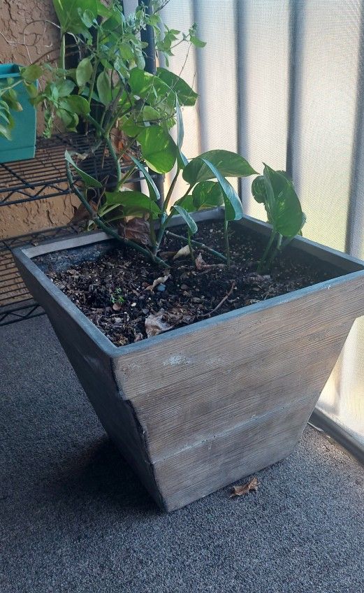 Large Plant Pot