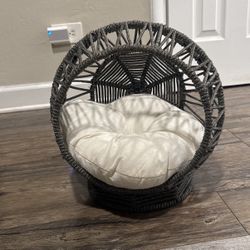 Cat Bed Never Used