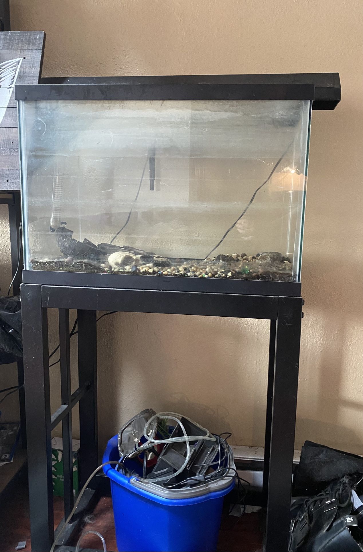 20 Gallon Fish Tank and Stand