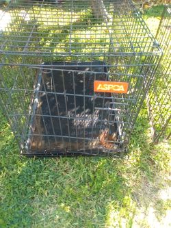 2 pet  kennels
