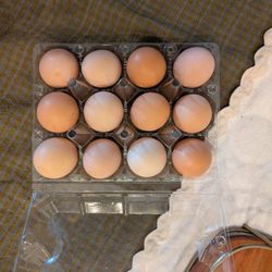 Cage-Free Backyard Eggs